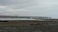 Alaska 2008 012